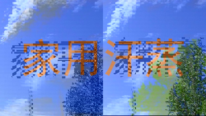 家用汗蒸