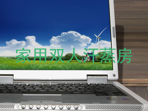 家用双人汗蒸房