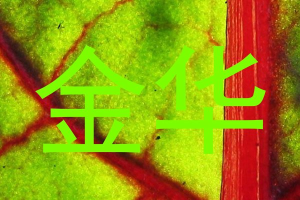 金华