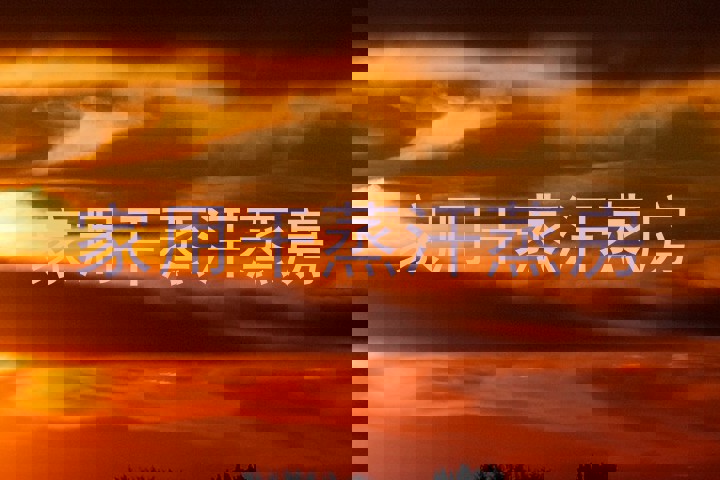 家用干蒸汗蒸房