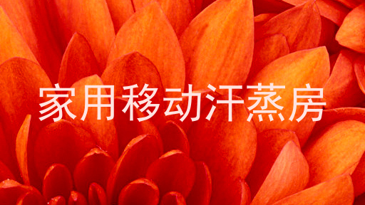 家用移动汗蒸房