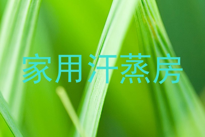 家用汗蒸房