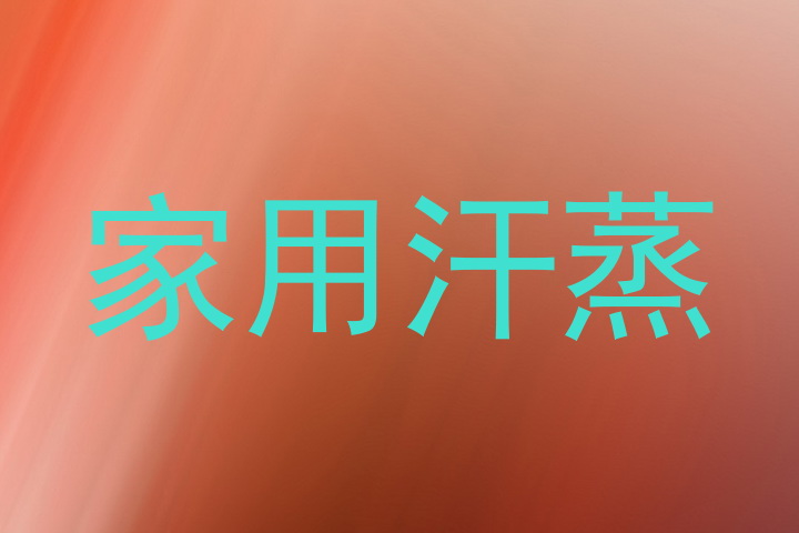家用汗蒸