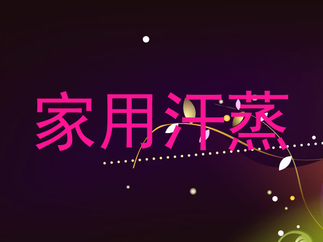 家用汗蒸