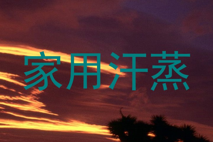 家用汗蒸