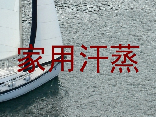 家用汗蒸