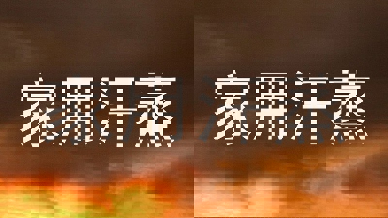 家用汗蒸