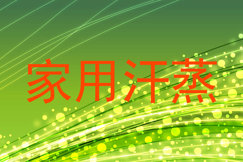 家用汗蒸