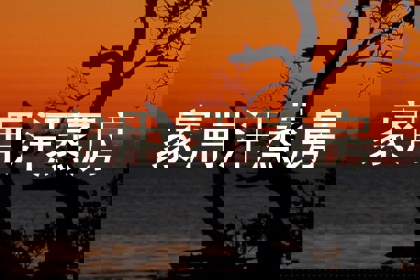 家用汗蒸房