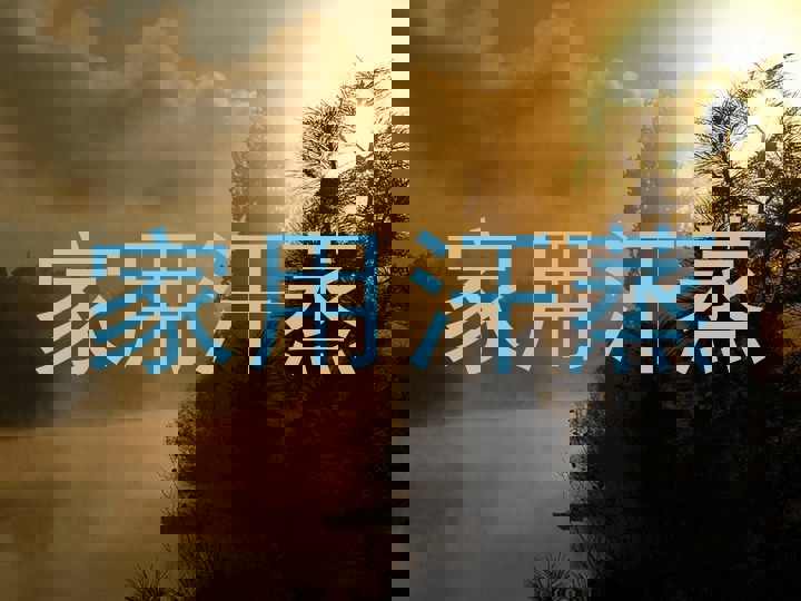 家用汗蒸
