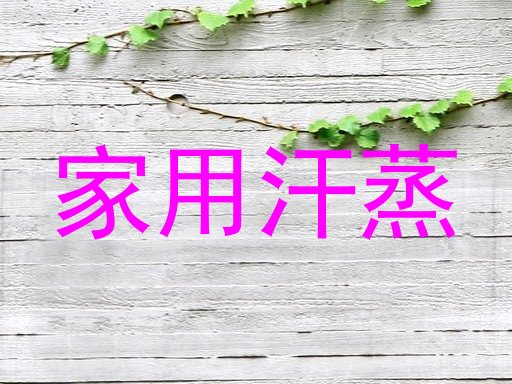 家用汗蒸