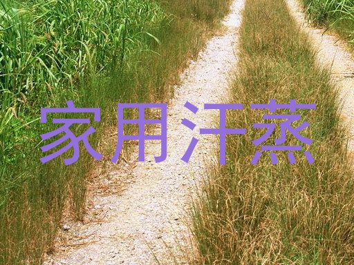 家用汗蒸