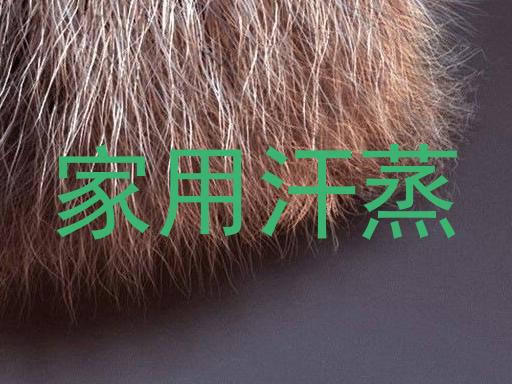 家用汗蒸