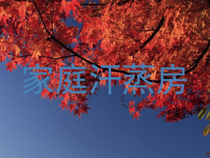 家庭汗蒸房