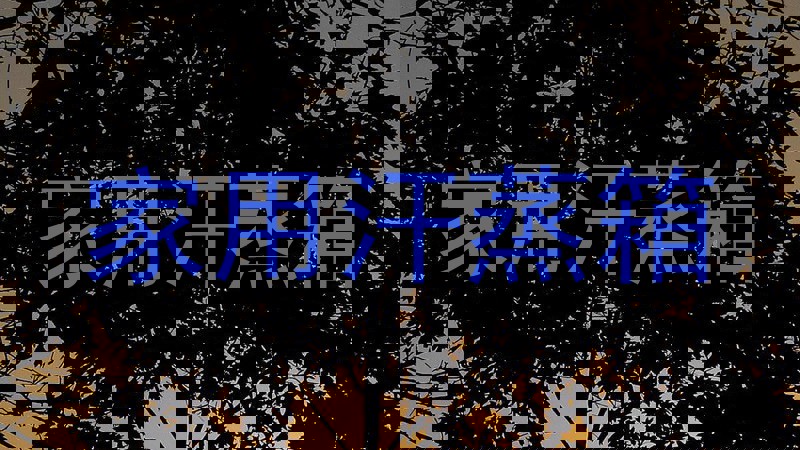 家用汗蒸箱