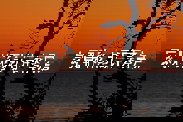 家用移动汗蒸房