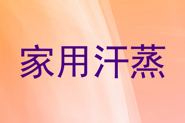家用汗蒸