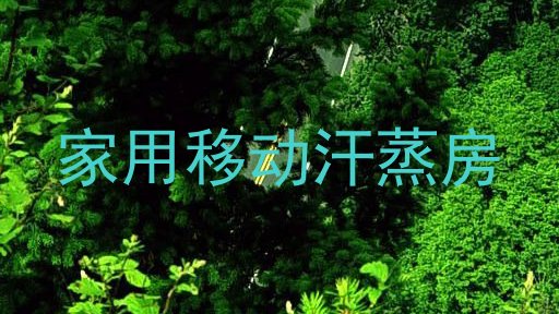 家用移动汗蒸房