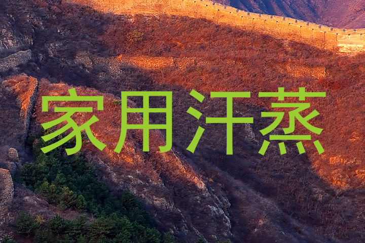 家用汗蒸