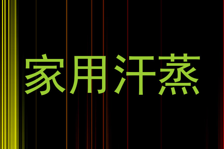家用汗蒸