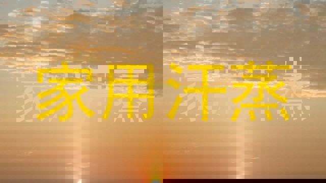家用汗蒸