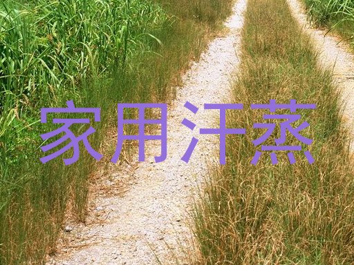 家用汗蒸