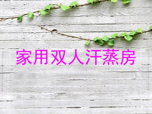 家用双人汗蒸房