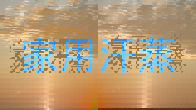 家用汗蒸