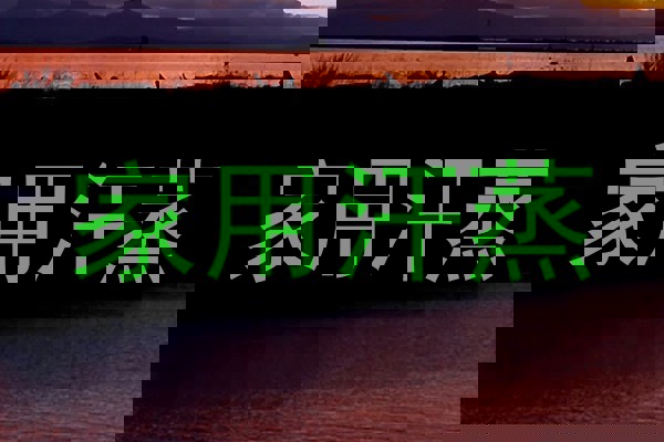 家用汗蒸