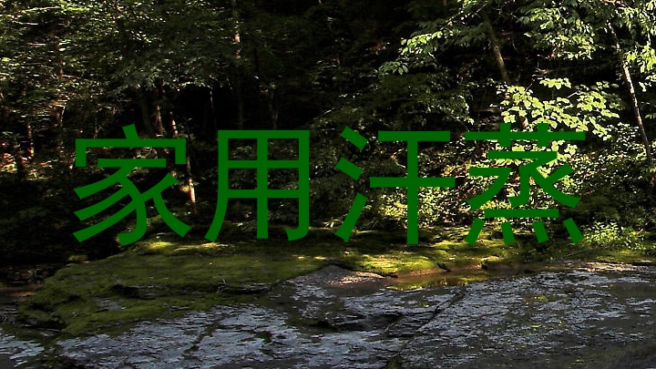 家用汗蒸