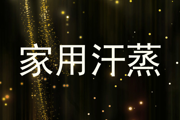 家用汗蒸