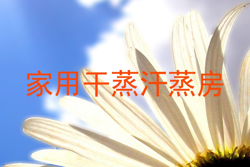 家用干蒸汗蒸房