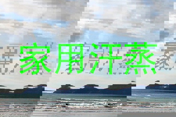 家用汗蒸