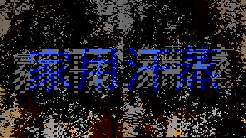 家用汗蒸