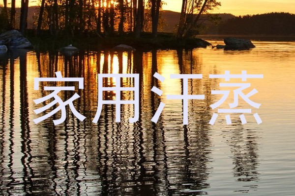家用汗蒸
