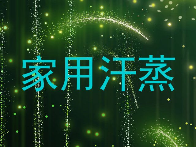 家用汗蒸