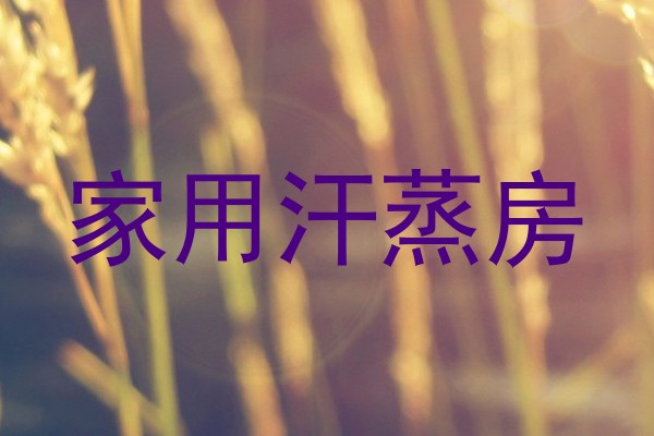家用汗蒸房