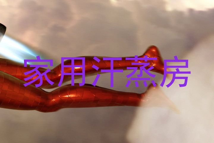 家用汗蒸房