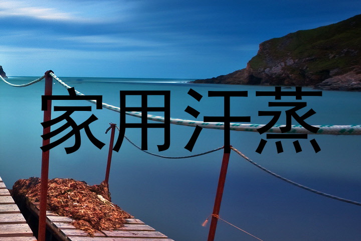 家用汗蒸