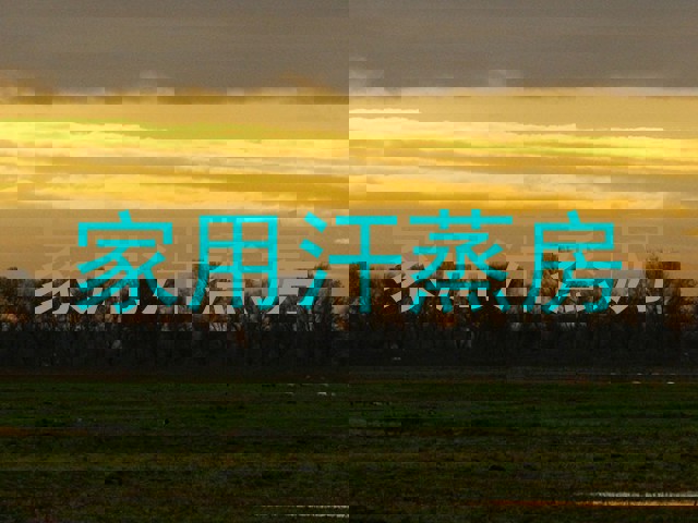 家用汗蒸房
