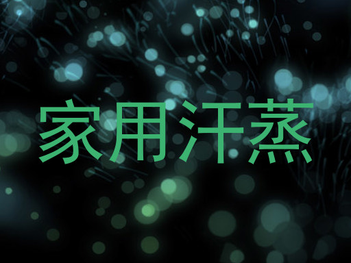 家用汗蒸