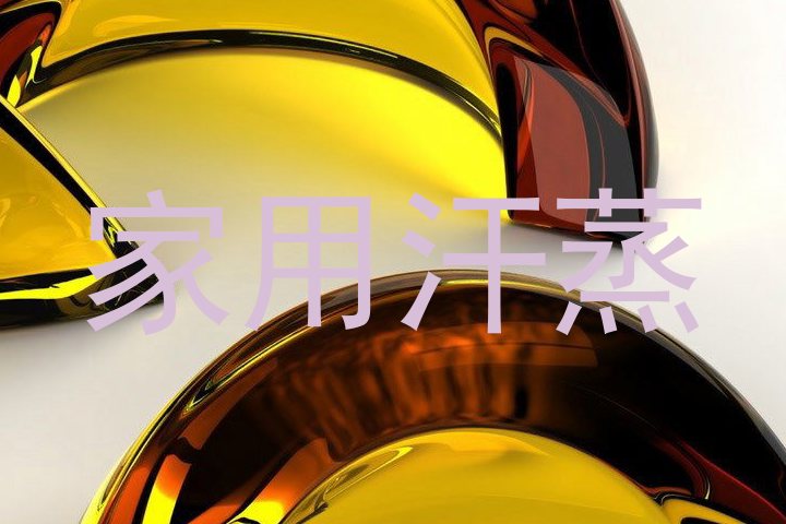 家用汗蒸