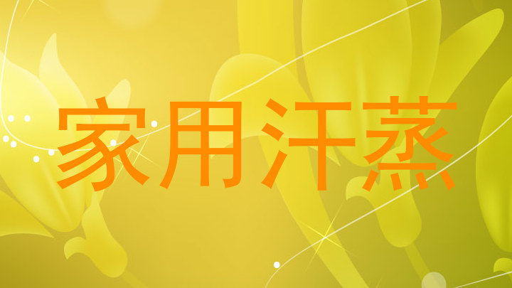 家用汗蒸
