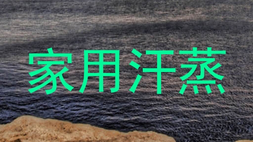 家用汗蒸