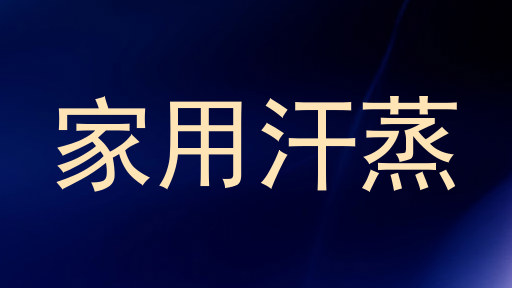 家用汗蒸