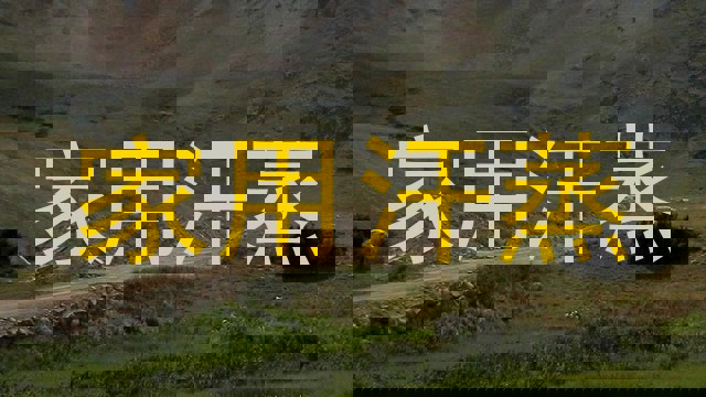 家用汗蒸