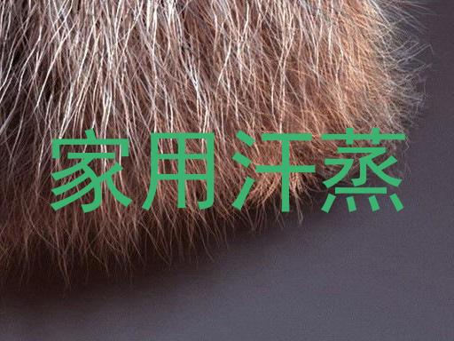 家用汗蒸