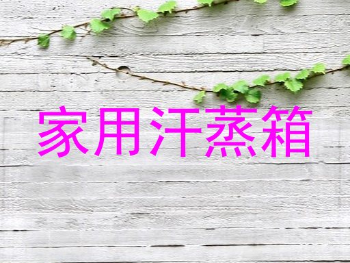 家用汗蒸箱