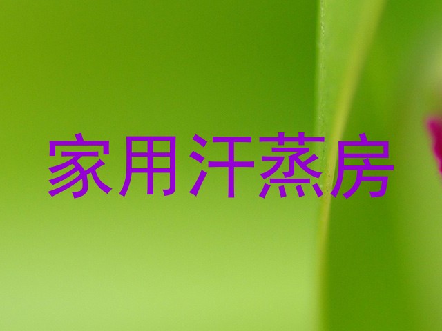 家用汗蒸房
