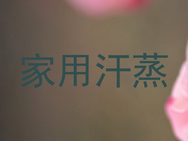 家用汗蒸